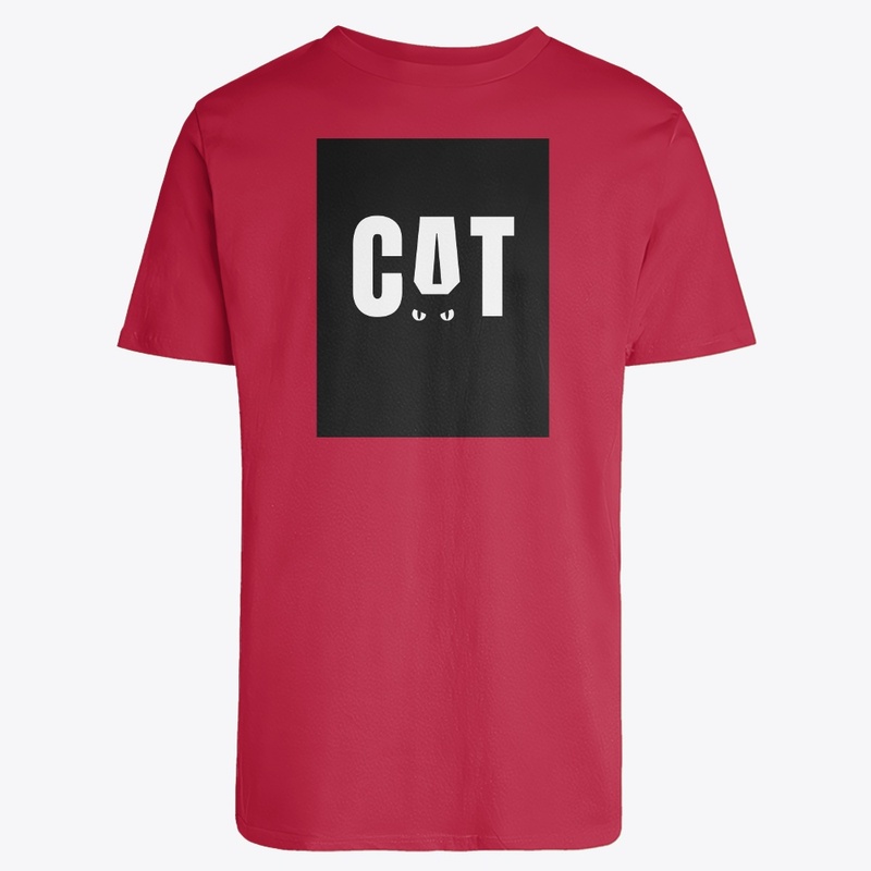 Cat 😺