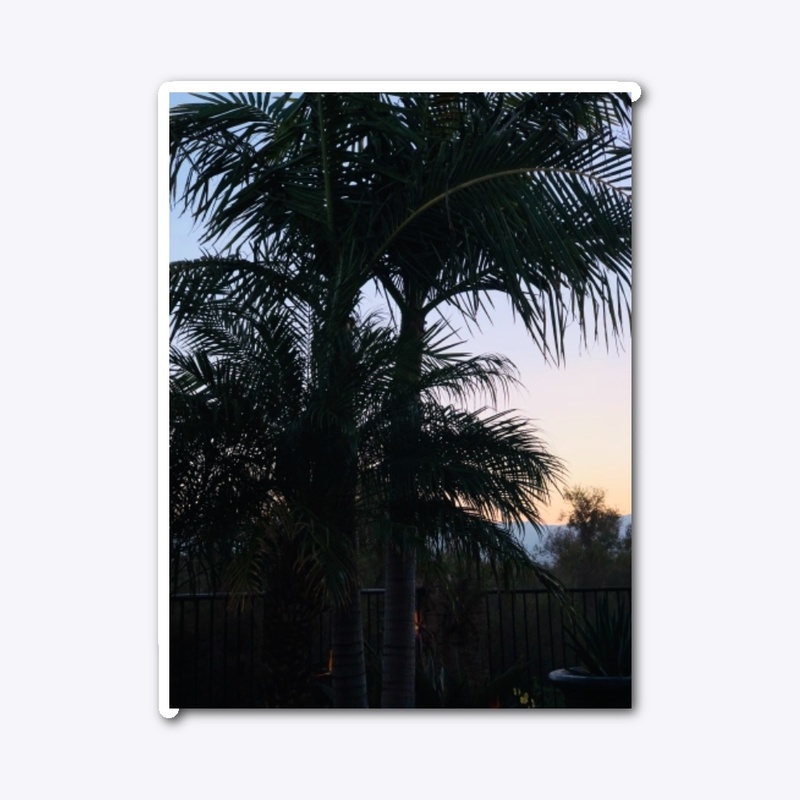 Sunset Palm