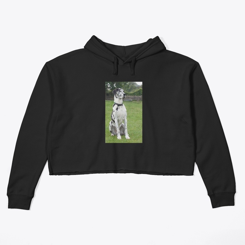 Great Dane T Shirt
