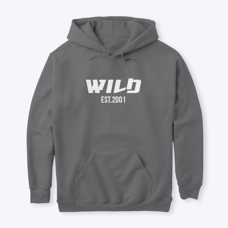 EST.2001 hoodie