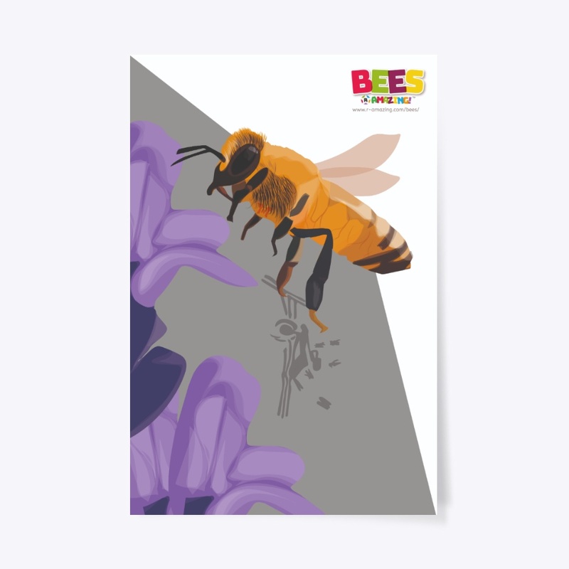 History of bees poster