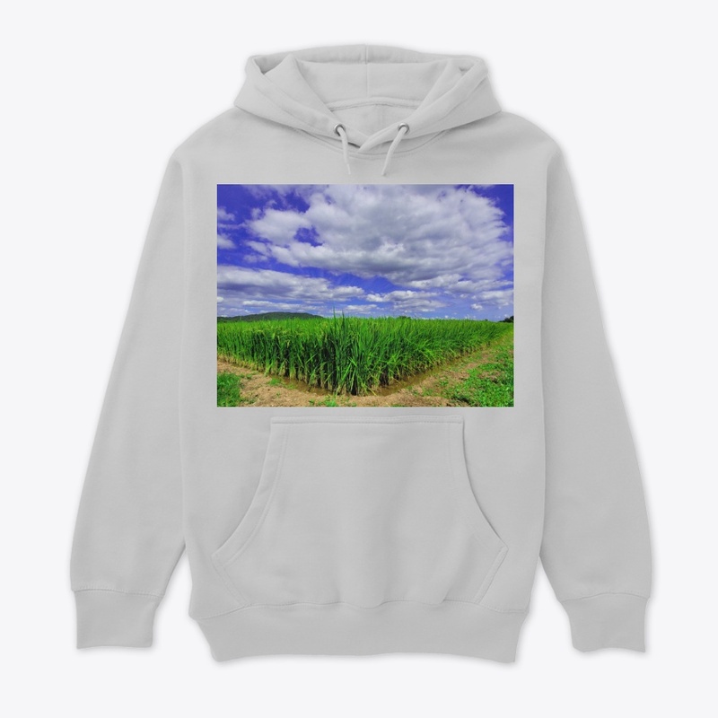 shirts_rice paddy