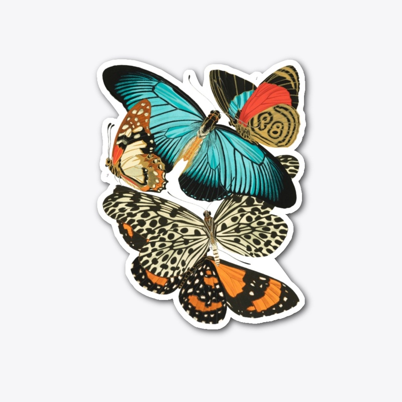 vintage butterflies