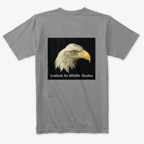 Iws Tri Blend Tee Premium Heather Kaos Back