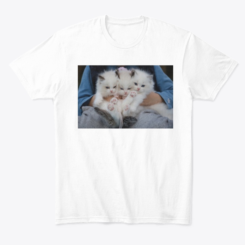 Cute Cats