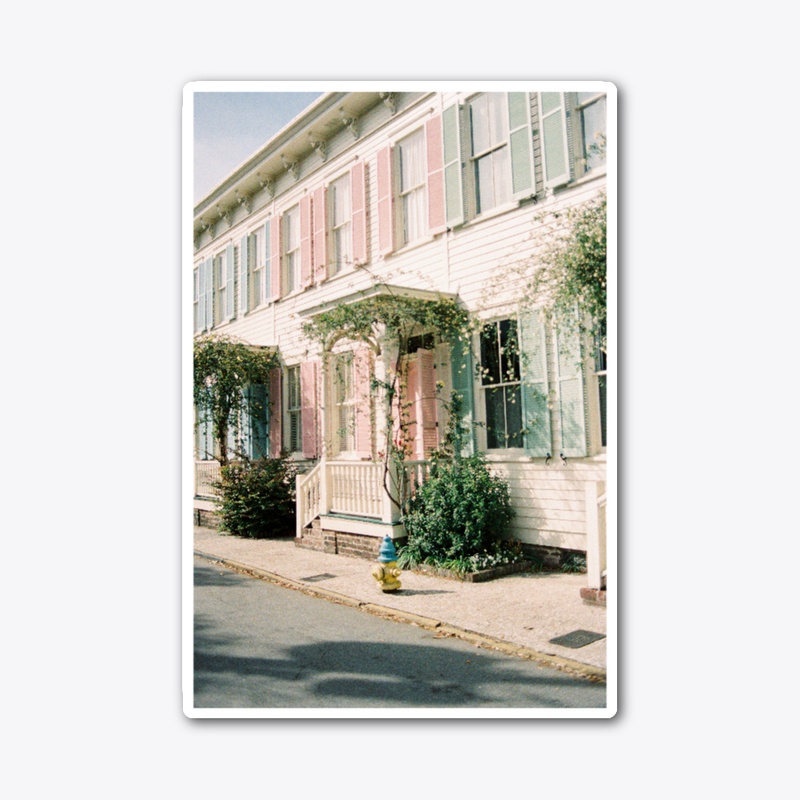Pastel Savannah