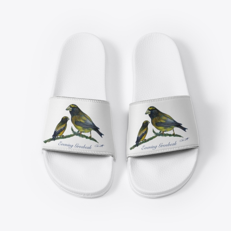 White Slides - Evening Grossbeak