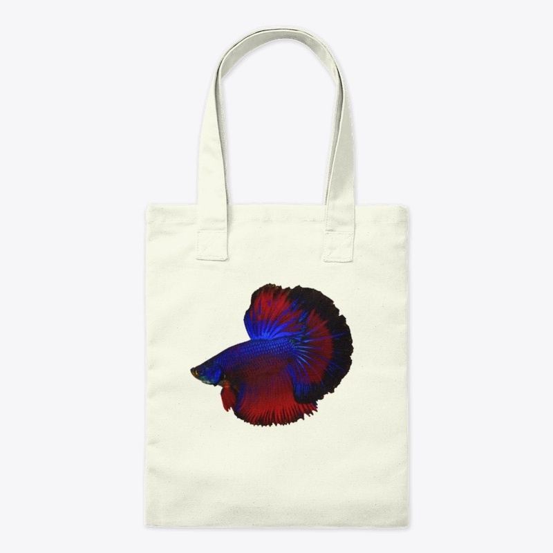 Betta Fish
