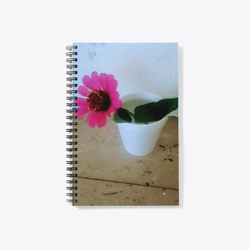 Bloom