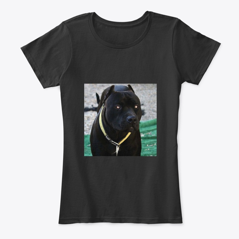 Pitbulls Black