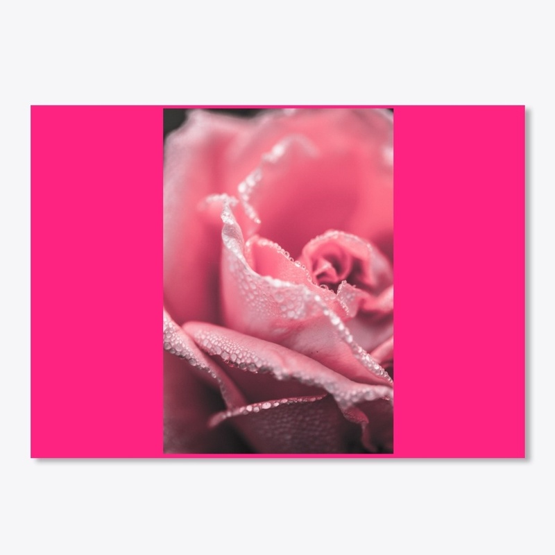 rose