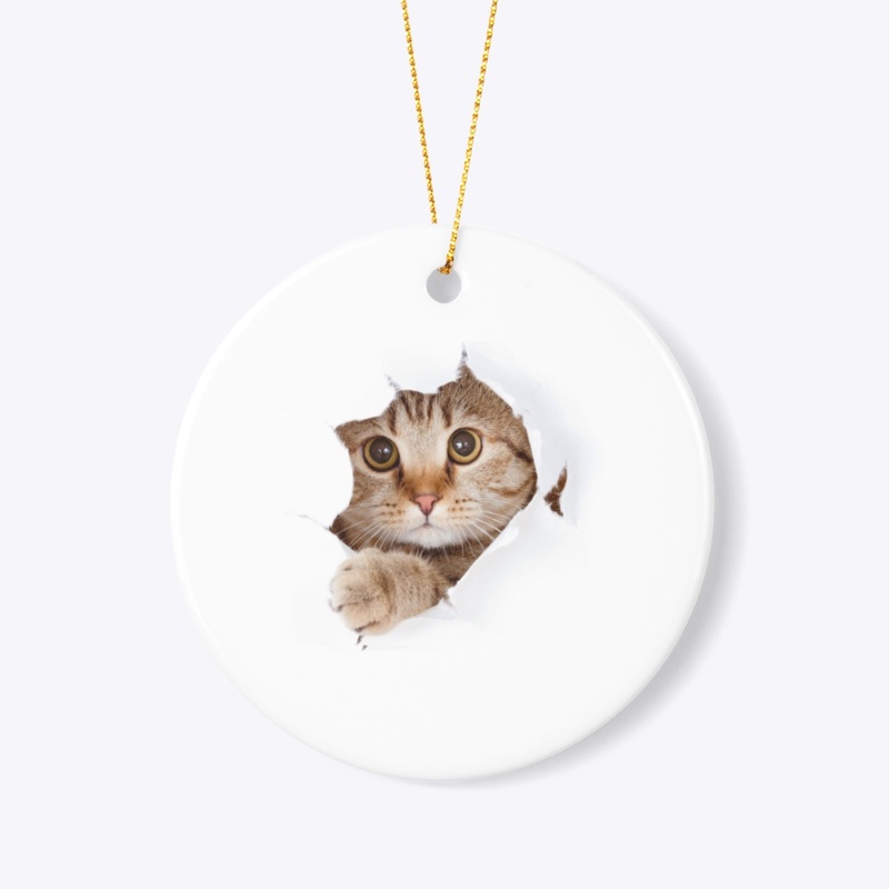 Cute Kitten T-Shirt  Perfectly Cute