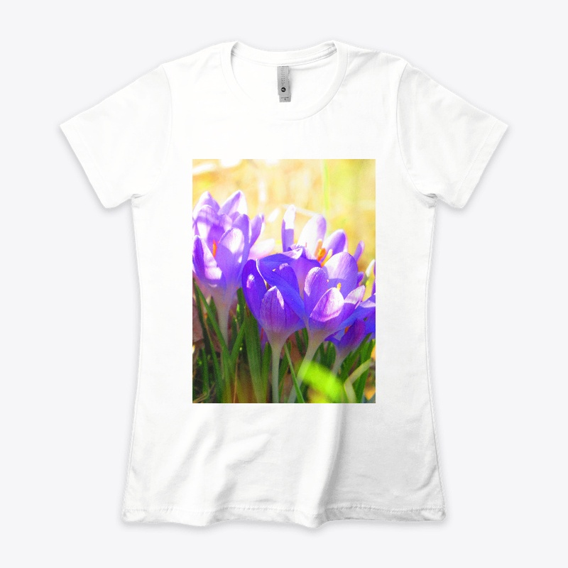 Crocuses