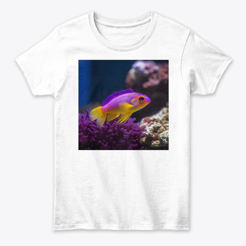 fish my love