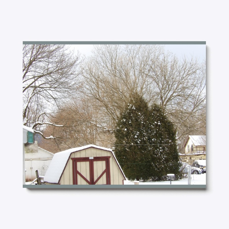Snowy Farm