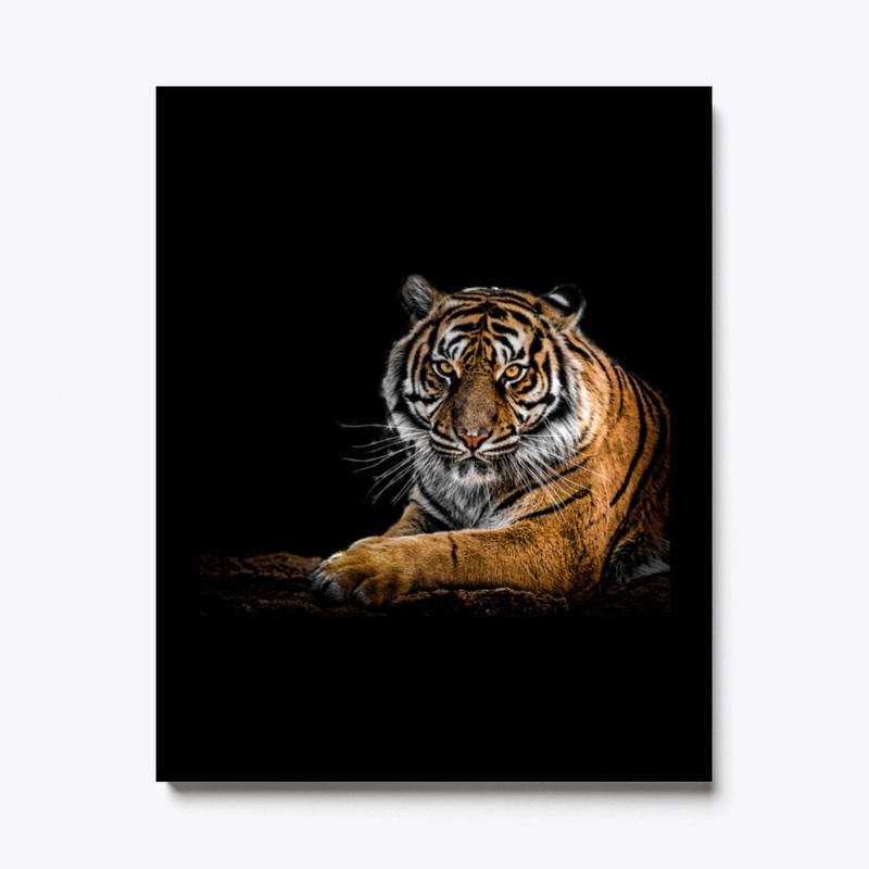 Lion Inside