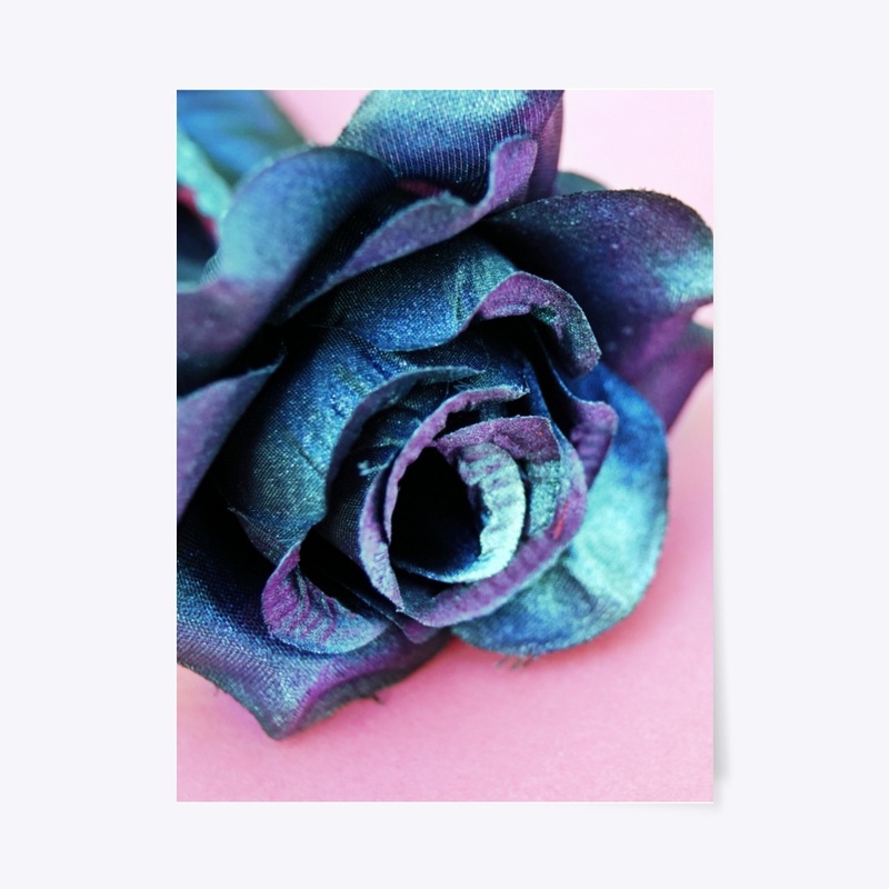 Beautiful Blue Flower
