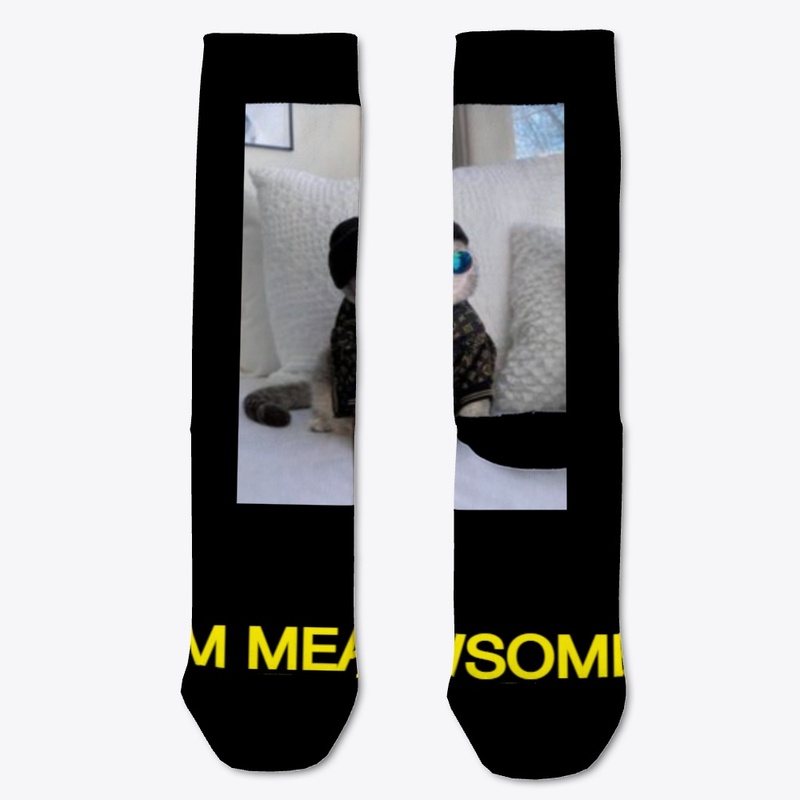 So Meowsome