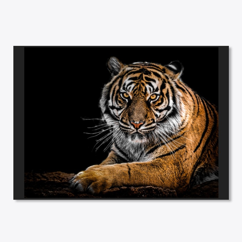 Lion Inside