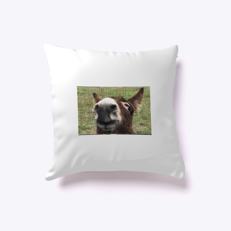 Donkey Fever