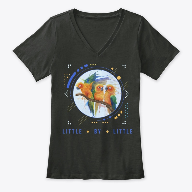 The Conures - "Little By Little"