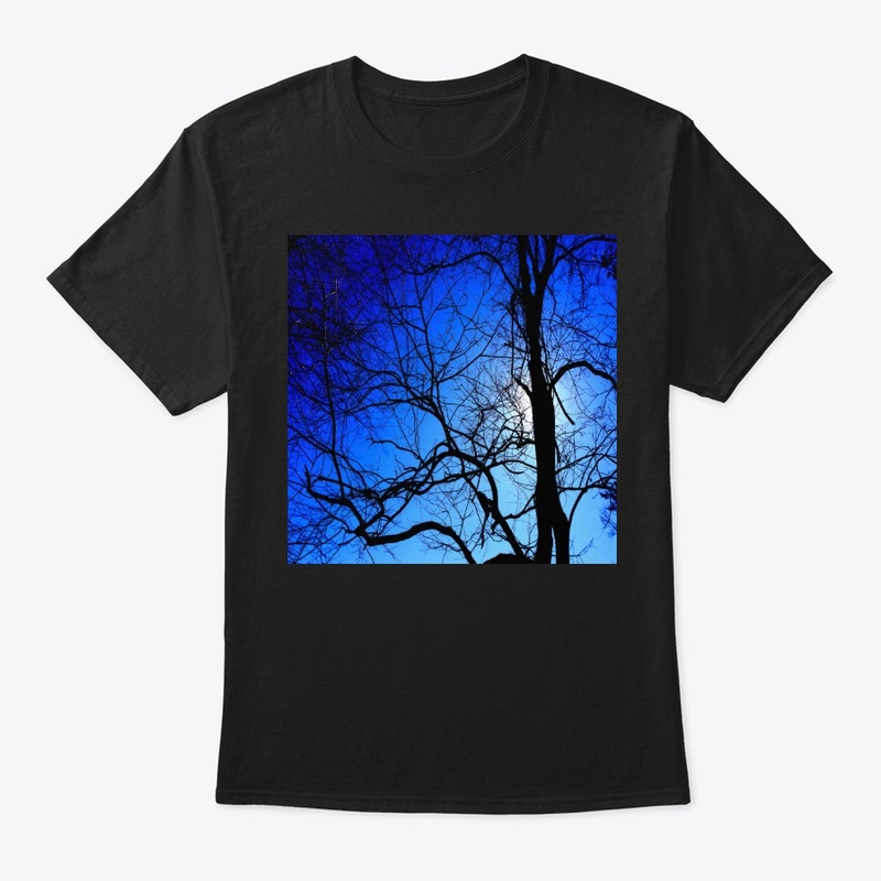 black tree blue sky 