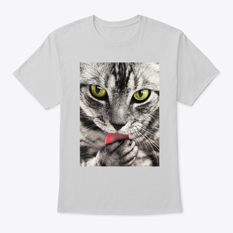  Cool Cat
