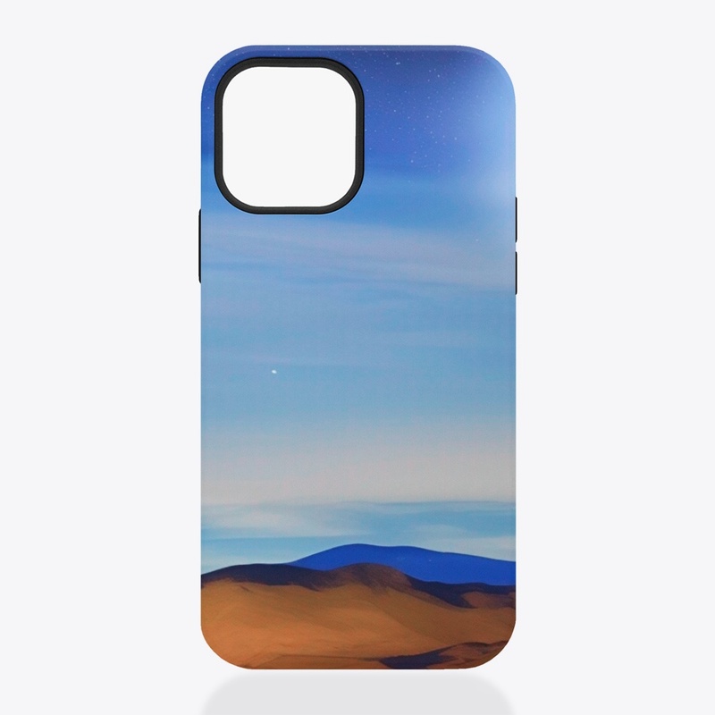 Desert Night