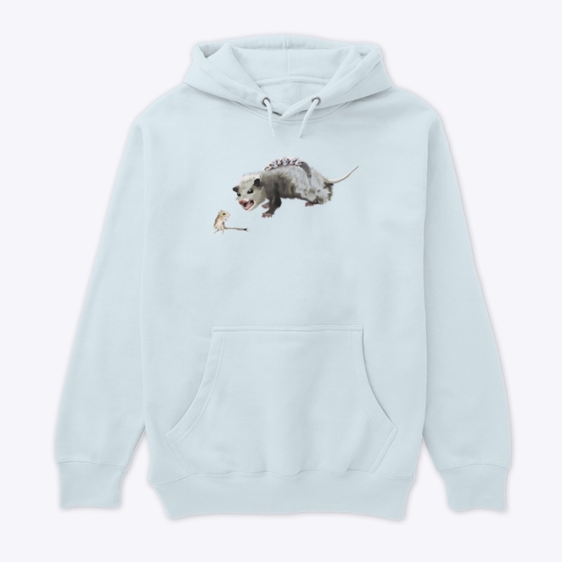 Opossum Mom & Rocket