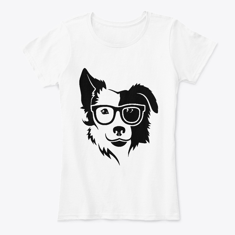 Border collie2