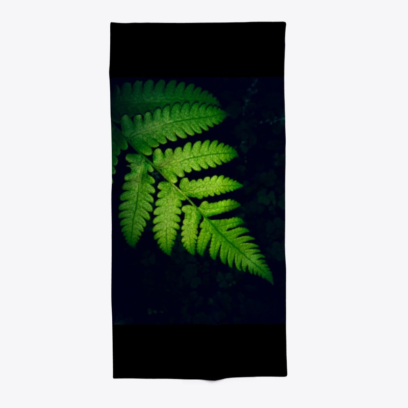 Leaves