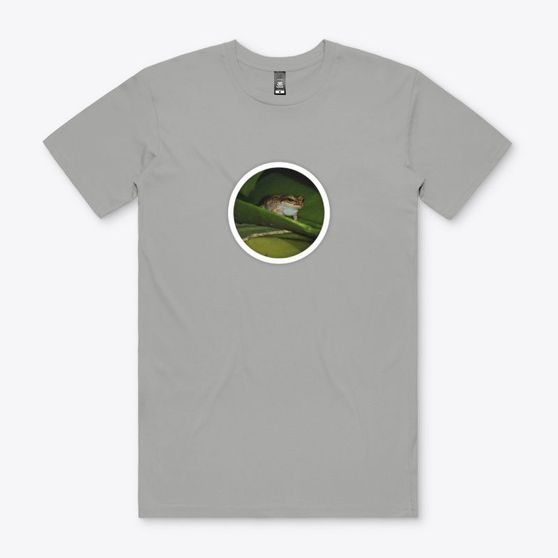 Pragmatic Frog