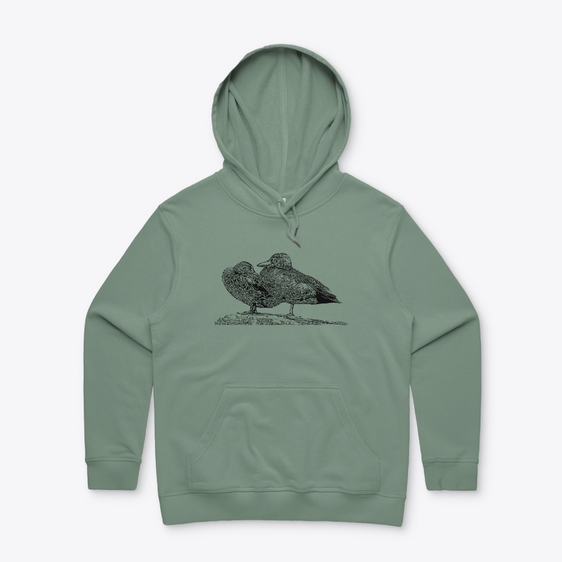 Cinnamon Teal