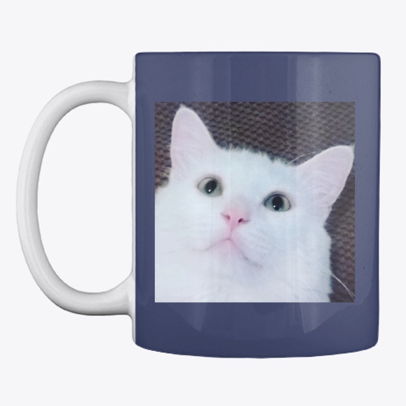 Sushi the Cat