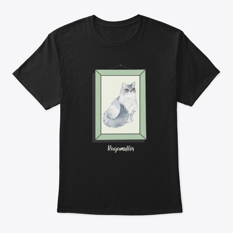 Ragamuffin Cat