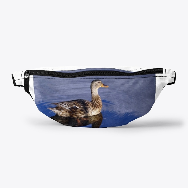 There was only a duck on the lake...