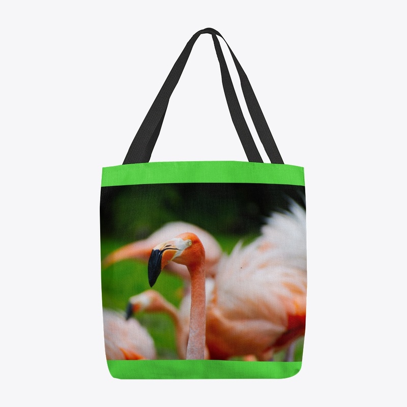 Flamingo by Michelle