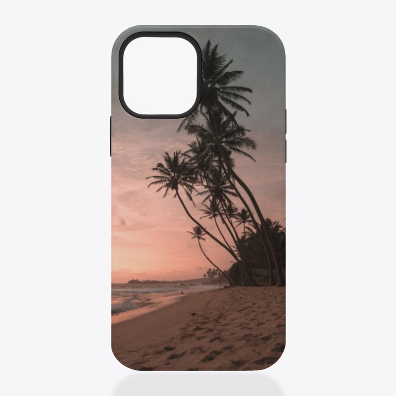 Palm trees