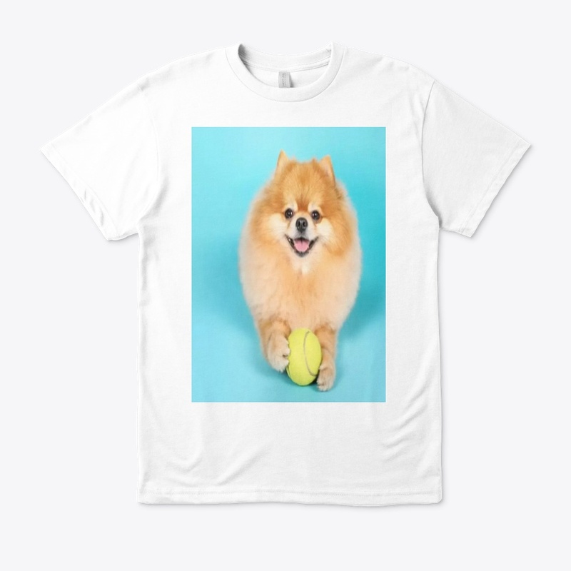cute dog