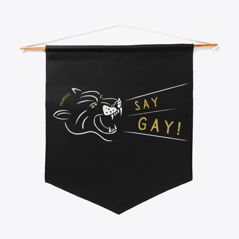 SAY GAY!