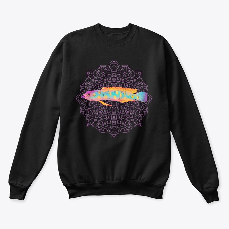 Red Sea Spiny Basslet Colorful Fish Art