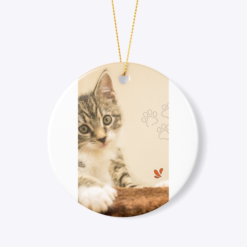 Kitty 
