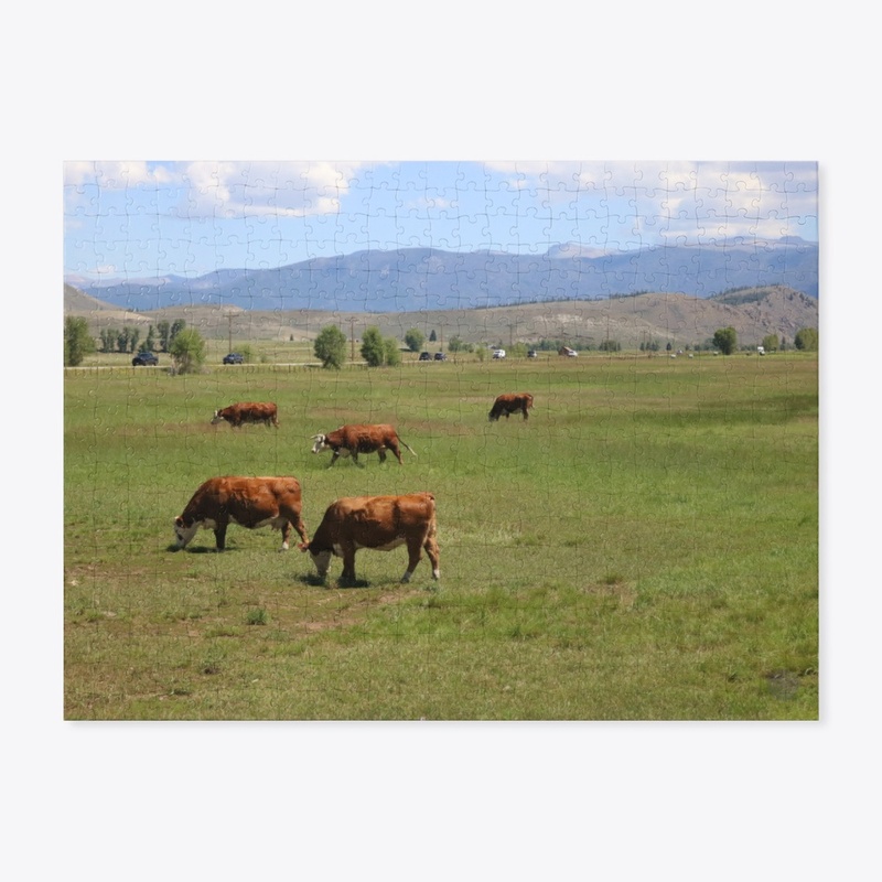 Cows