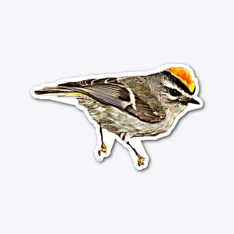 Golden-Crowned Kinglet sticker