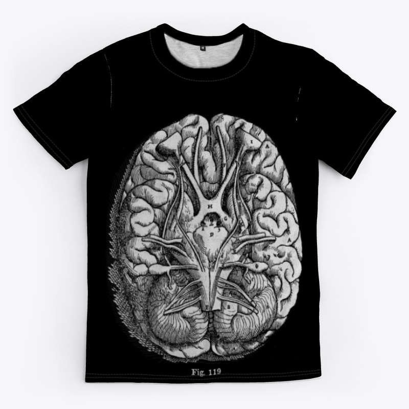 Brain Diagram
