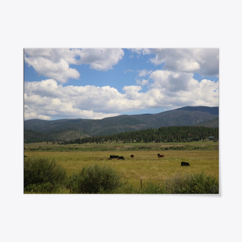 Colorado 15