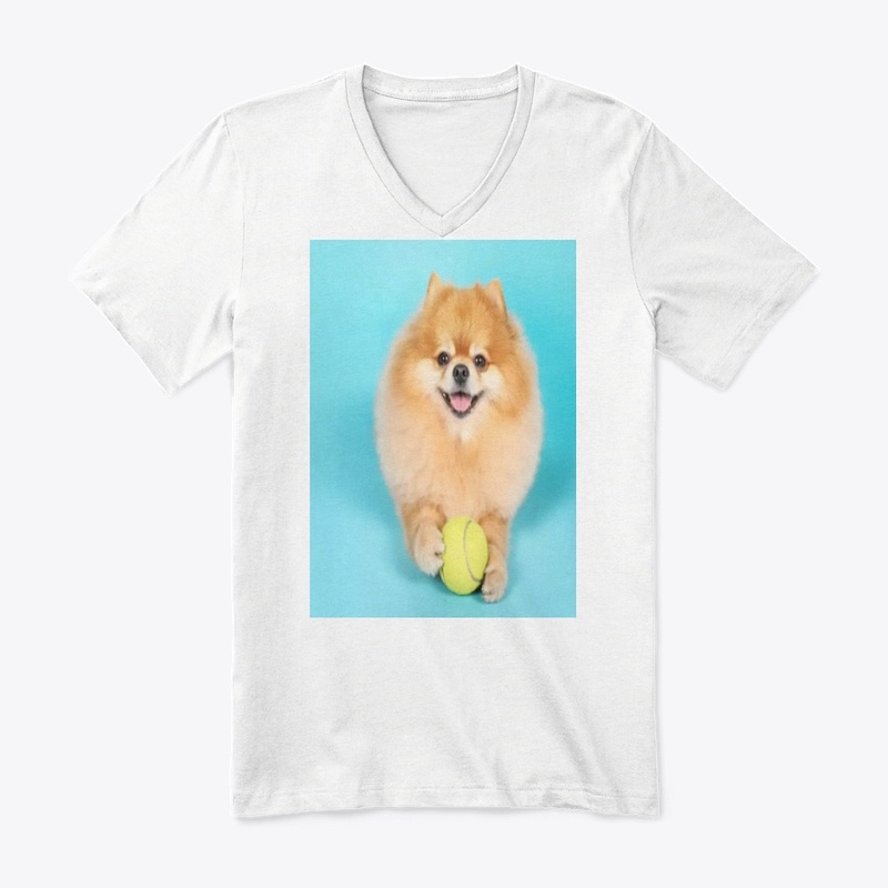 cute dog
