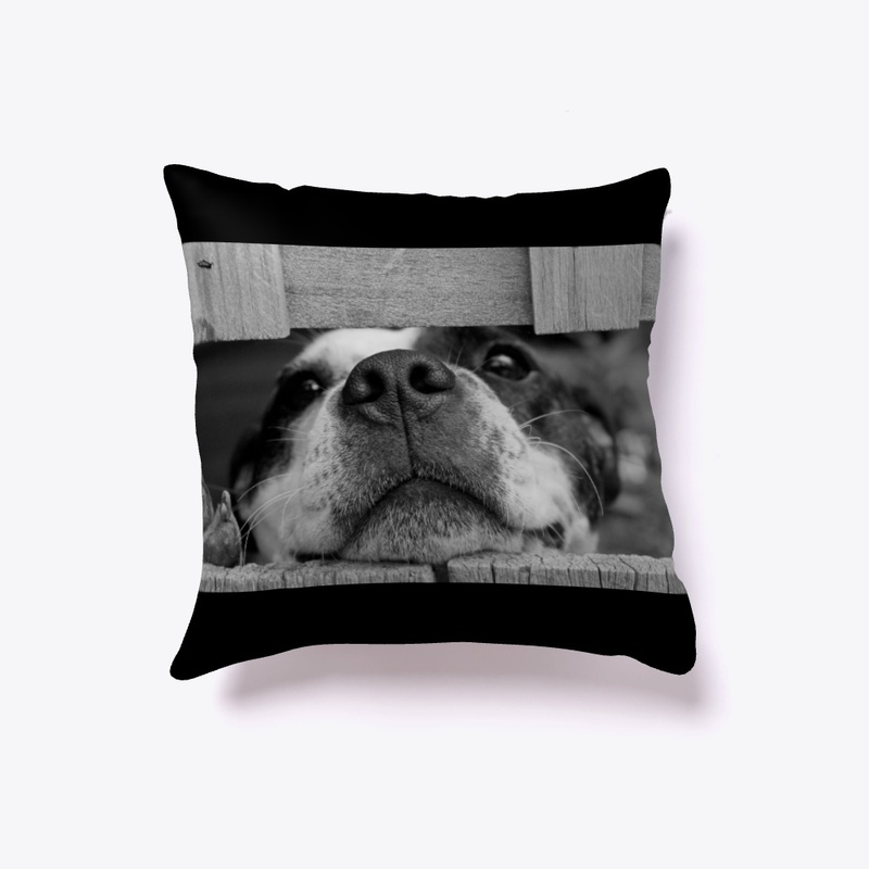 Lovely dog