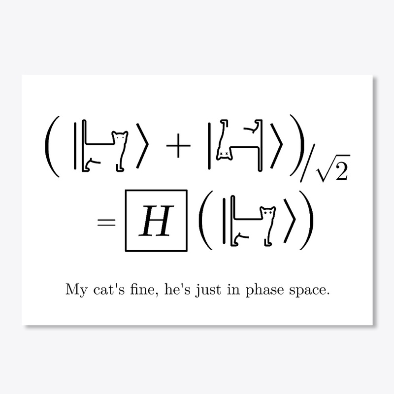 Phase Space Cat