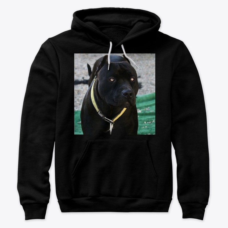 Pitbulls Black